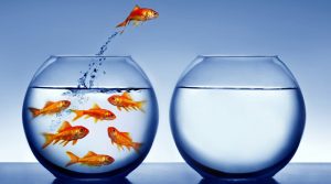 Jeste li stvarno sretni ili ste samo u zoni kontroliranog nezadovoljstva?